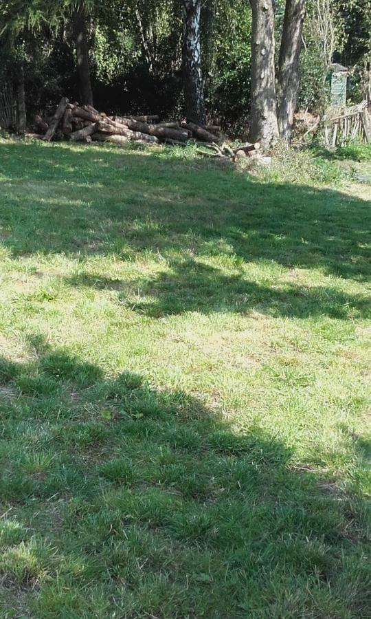 Apartment In The Hajenka Holiday House Blazejovice エクステリア 写真