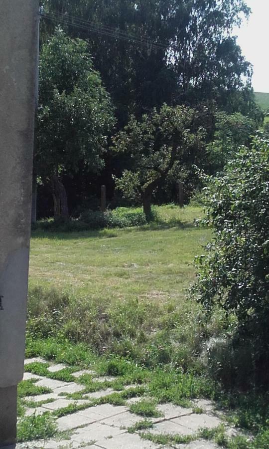 Apartment In The Hajenka Holiday House Blazejovice エクステリア 写真